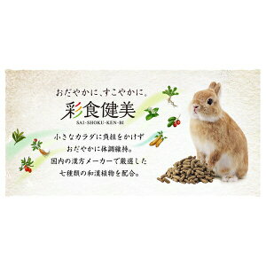 WFbNX ʐH 7uh 900g | t[h GEX t[h ʐH aA At@t@ `V[ ybg \tgybg h{⊮H Y J[ Aybg ۑs