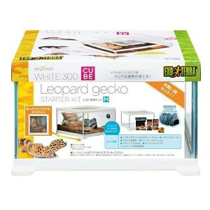 ���W�F�b�N�X ���I�p����L�b�g M | ঒��� ����L�b�g ���I�p �z���C�g �P�[�W �K���X�� GEX �G�L�]�e�� ���v�e���A �X�^�[�^�[�L�b�g ঒��ޗp�i ���x�ێ� ���L���� �V�F���^�[ ���R���C�A