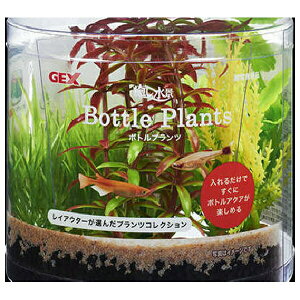 WFbNX i {gvc ^ | ANAE {gvc WFbNX ^  vc  i  CeA ANA OXANAE A pi  