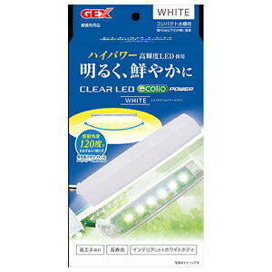 WFbNX NALED GRIA[ p[ zCg