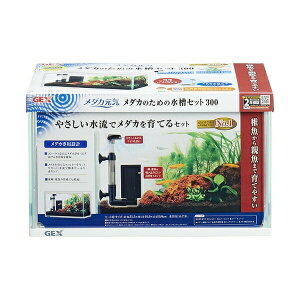WFbNX _JC _Ĵ߂̐Zbg300