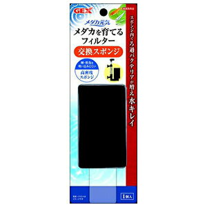 WFbNX _JC _JĂtB^[X|W