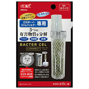 ݌ɌŔpԁWFbNX oN^?ZRlNg | GEX oN^[ZRlNg oNeA  AA\ XtB^[ J{[C DC oNeA C AjA Ɏ_