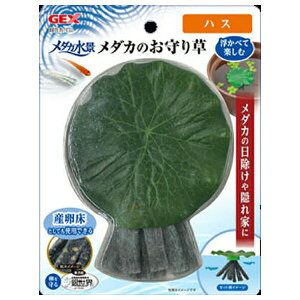 WFbNX _Ji _Ĵ葐 nX