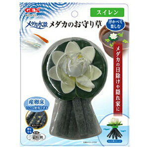 WFbNX _Ji _Ĵ葐 XC | _J i A XC  _Jpi 葐 _J  ANAE Ϗ܋  B X|W Y 