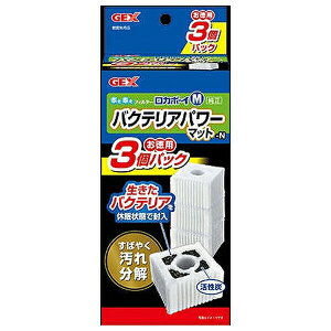 WFbNX J{[CMoNeAp[}bg N 3 | GEX J{[CM oNeAp[}bg ANAE tB^[ ߍ oNeA Y L p}bg p}bg 