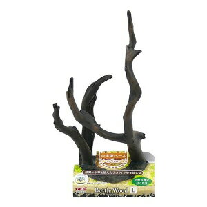 WFbNX i {gEbh L | i {gEbh ANAEpi  CAEg ^ } |W RpNg ̃ANZT[ i ANAEA[g 