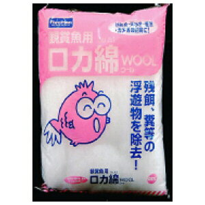 WFbNX WFbNXE[  | GEX Ϗ܋ J E[ }bg WFbNX ca   tB^[ ߍ pi Mы C  _J ANAE h h E[}