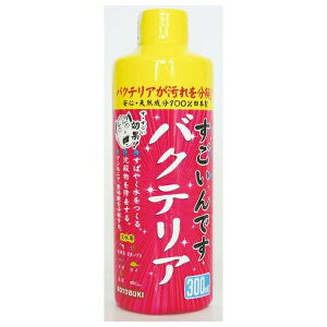 H| łoNeA 300ml | RguL oNeA  ANAEpi Ϗ܋p 300ml Wp VR RguLH| pi  Ǘ oNeAY ca