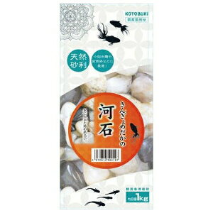 H| 񂬂߂̉͐ 1kg |  _J ANAE  VR  CAEg   Th ͐ Ϗ܋  ^  eE 鍻 pE_[ o[Th 