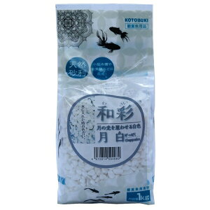 H| a  1Kg |   _J VR ANAE  a ꏰ RguL ʂ Rf ^  CAEgpi Ϗ܋pi oG[V F a  e