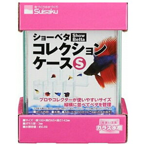  V[x^RNVP[X S |  x^ KX RNVP[X ^ V[x^ pi ANAE  W Mы P[X x^ Ǘ Zbg 