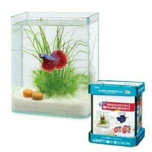  OXK[fR180x^6_Zbg | OXK[f x^  t[X pi ANAE  x^ Zbg Ϗ܋p Zbg CeA fUC Y