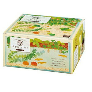  ANAeA_JpKGN190 | ANAE _J  ꐅ ^ GR nChJ`[ _J KX ϗtA ANAeA  Zbg _J