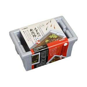 Xh[ _J̔A  | _J A Xh[ 3.2L _J AX`[  AX`[  O ANAE P[X fM _J  AP[X  RpNg 