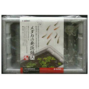 Xh[ _J̔A | _J  A Xh[ X`[ O  fM ω _J AX`[ rIg[v ^ oh~ I[o[t[ pP[X e 