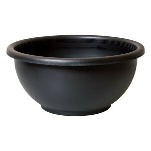 Xh[ _J̊۔  | _J  Xh[ ۔ rIg[v 甫   ݐF _Jpi Xh[i  v   _J _JS A 