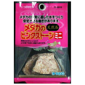 ݌ɌŔp Xh[ _J̃sNXg[~j