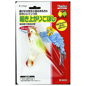 Xh[ B1742N肱ڂ | Nオ肱ڂ   Xh[  CR  p ZLZCCR {^CR V 킢    