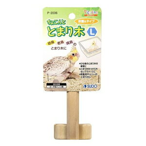 ݌ɌŔp Xh[ 傱ƂƂ܂ L