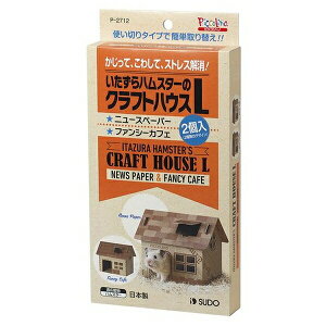 ݌ɌŔpԁXh[ NtgnEX L 2 | nX^[  NtgnEX sbR[m Xh[ Ntg ߋ  P[Wpi ybgpi gݗĎ V nX^[pi 