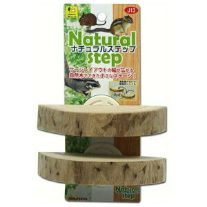 OW i`Xebv | i`Xebv p Xe[W P[WCAEg R vCZbg Ki  pؐ 2Zbg OW ঒ P[Wpi 