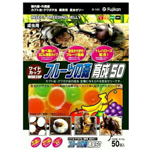 ◇フジコン ワイドカップ フルーツの森 育成50 50個入り