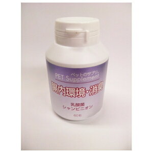 oCIA ybg̃TvBEL 60 | ybg Tv L  Tvg _ VsjI ybgpi pTvg LTv ybgN Tvp ybgPA 