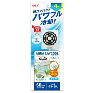 WFbNX ANACN[ M[ 2025