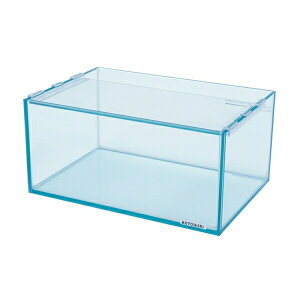 H| KX̐i Pi | ANAE  KX  _J Mы ^ RguL NX^L[u eE CAEg S rMi[  ^ e A