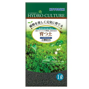 H| ynCh\C 1L | ANAE nCh\C RguLH|  eE \C ϗtA  VRy  RP pH _ ɐB r[Vv Ϗ܋ y K