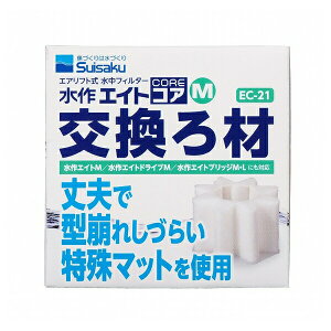  GCgRAM EC-21
