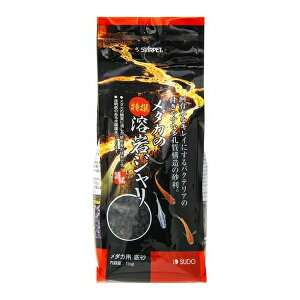 Xh[ _J̓nW 1kg S-6050