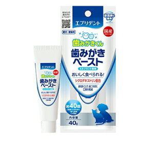 ◇アース・ペットEBC エブリデント 歯みがきペースト 40g