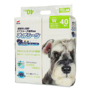 R[`[ lIV[cZu Ch 40 ybgV[g gCV[c p | ybgV[g pV[c gCV[c L z NG_ X[p[z TT L gCp gC