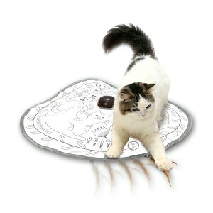 L DC-0351-AE21 Lb`E~[ECtE[EL2 L̂ Lp  ˂炵