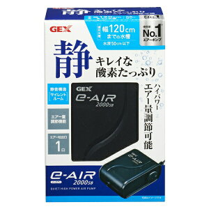 GEX(WFbNX) e]AIR 2000SBp GA[|v