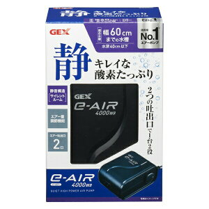 GEX(WFbNX) e]AIR 4000WBp GA[|v