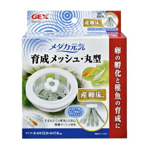 GEX(WFbNX) _JC 琬bV ی^ Yt