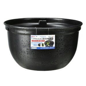 GEX(WFbNX) _JC _Ĵ߂̎甫 370