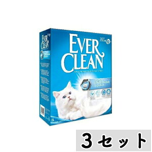 y܂ƂߔzV Go[N[^Cv 6L×3Zbg | L Go[N[ ^Cv LgC L Lpi Lp VRf Y ^Cv I_ dł܂ yʉ