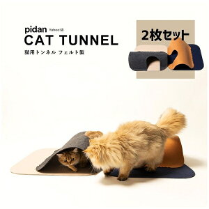 PIDAN JP LpJ[ybggl tFg 2s[Xy݌ɗLz | Lgl pidan gl Lp Lbggl tFggl lRgl gl @\