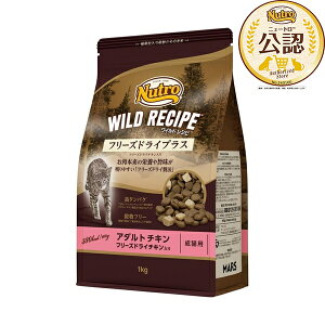 j[g Lbg Ch Vs t[YhCvX A_g `L Lp 1kg NW303