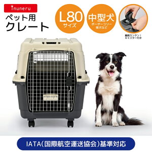 ybgCu[ inuneru N[gL80 |  L L[P[X L[obO ^ ybgL[ GAgxL[ ^ s ybgN[g o