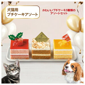 \̔ 12/16oׁ ybgCu[ 2025N NX}XP[L Lp v`P[LA\[gyⓀz