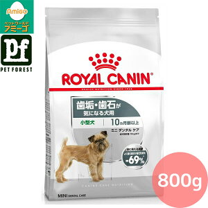 CJi ~j f^ PA(CE΂CɂȂ錢p ^p `p) 800g p hCt[hy݌ɗLzll5_܂