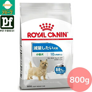 y05̂͍ő500~ItzCJi ~j Cg EFCg PA(ʂp ^p `p) 800g p hCt[hy݌ɗLzll5_܂ | CJi