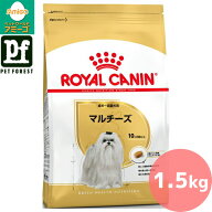 【0と5のつく日は最大500円オフ】ロイヤルカナン マルチーズ 専用フード 成犬〜高齢犬用 1.5kg 犬用 ドラ…
