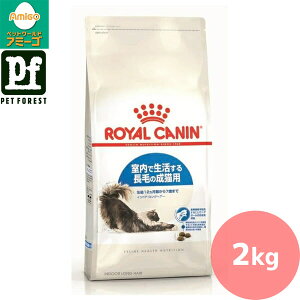 Zbg!!CJi ChA OwA[(Ő钷т̔Lpt[h Lp) 2kg Lp hCt[hy݌ɗLzll5_܂