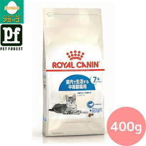 y05̂͍ő500~ItzCJi ChA 7+(Ő7Έȏ̔Lpt[h Lp) 400g Lp hCt[hy݌ɗLzll5_܂ Zbg!! | 